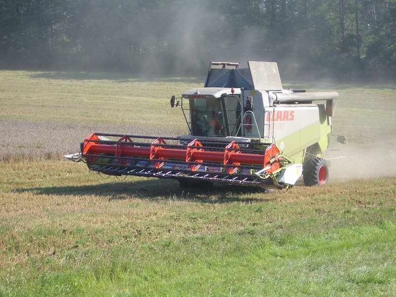 bilder/31_8_2005/lexion_12.jpg
