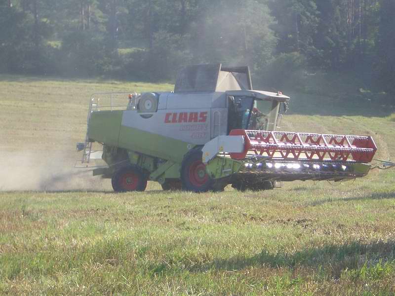 lexion_13.jpg