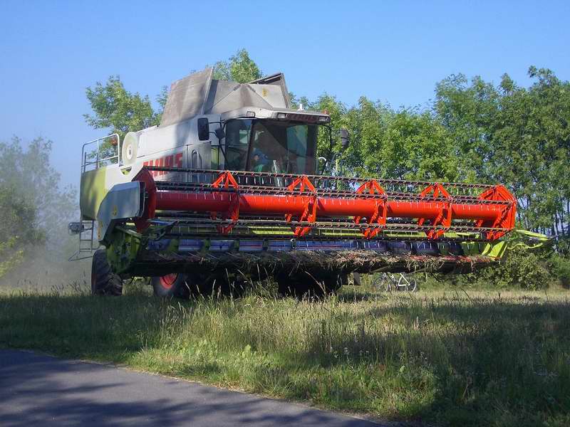 lexion_2.jpg