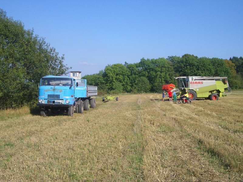 lexion_w50.jpg