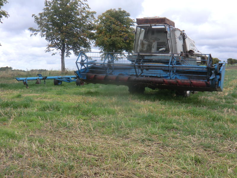 CIMG7906.jpg