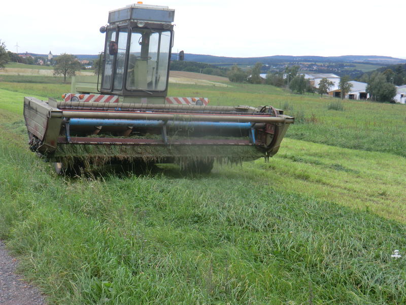 bilder/31_8_2014/CIMG7912.jpg