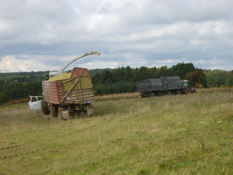 IMGP2332.jpg