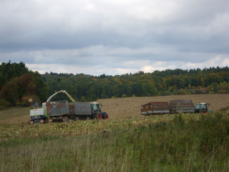 IMGP2343.jpg