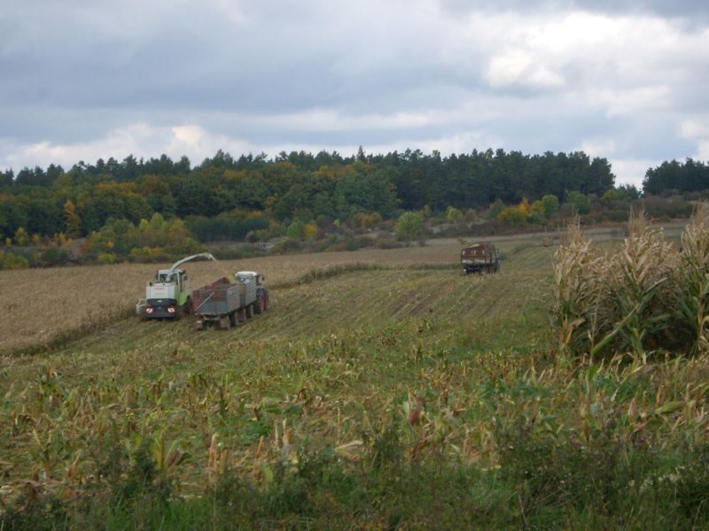 IMGP2344.jpg