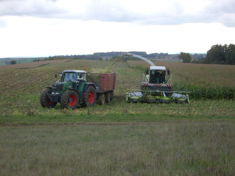 IMGP2368.jpg