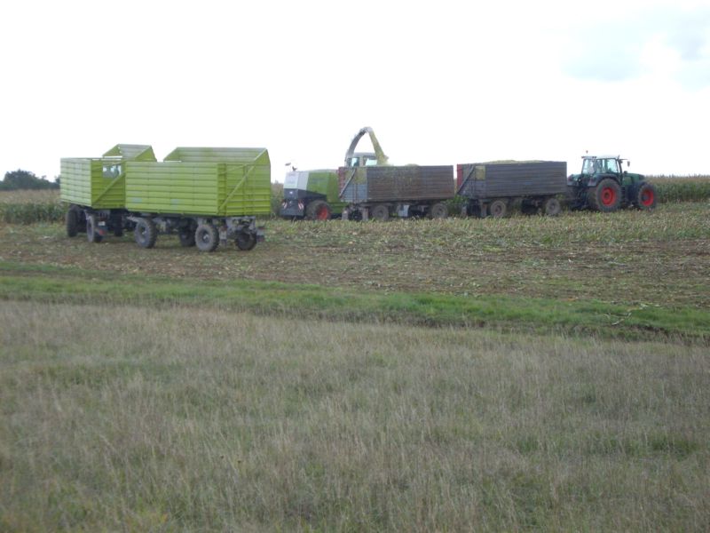 IMGP2373.jpg