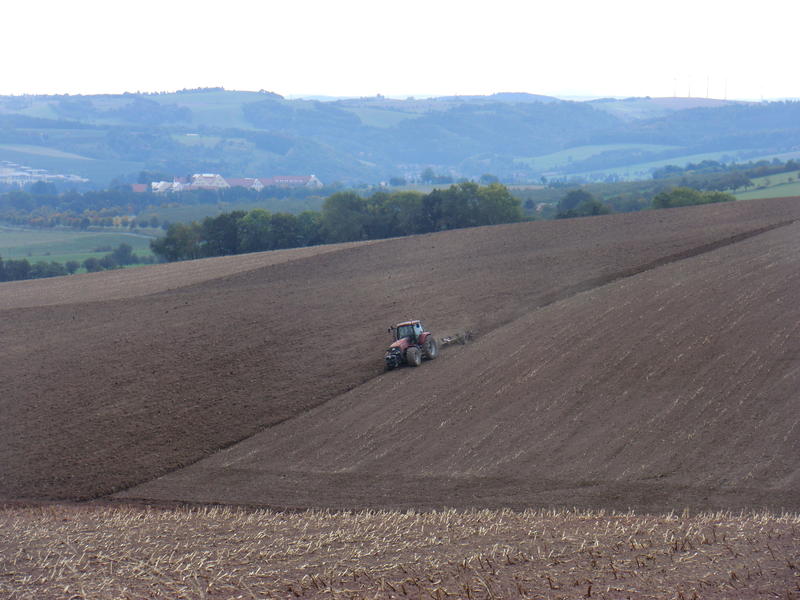 bilder/3_10_2012/CIMG1426.jpg