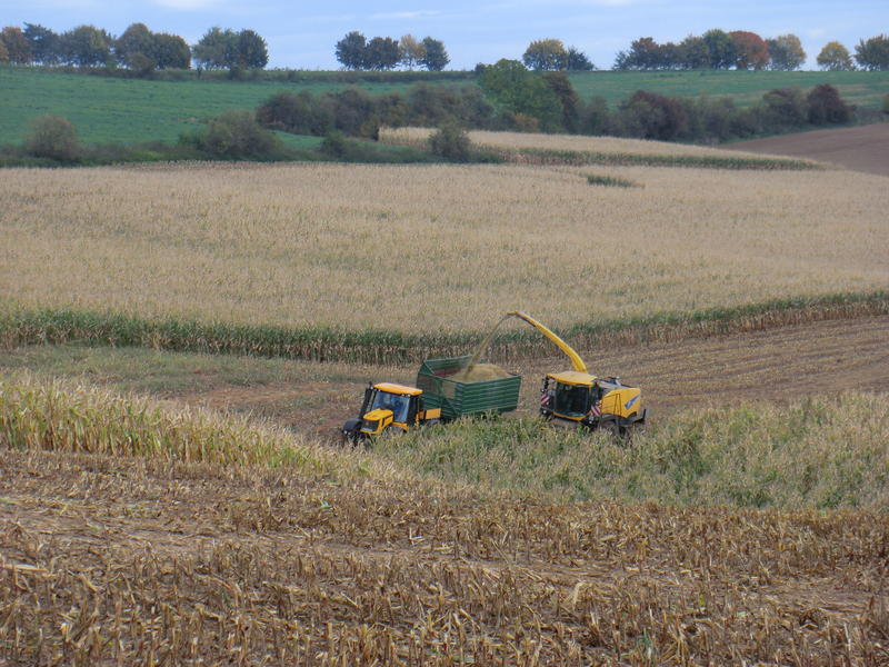 bilder/21_4_2006/IMGP2101.jpg