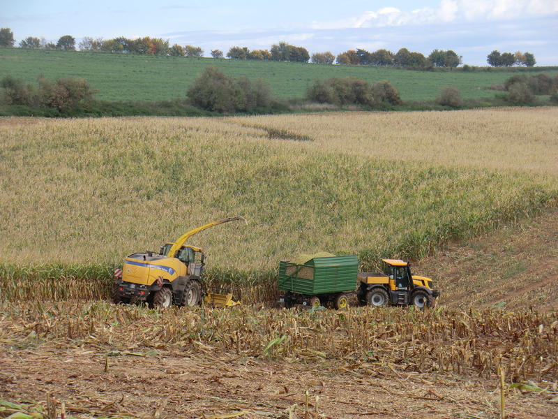 bilder/11_8_2012_3/CIMG0047.jpg
