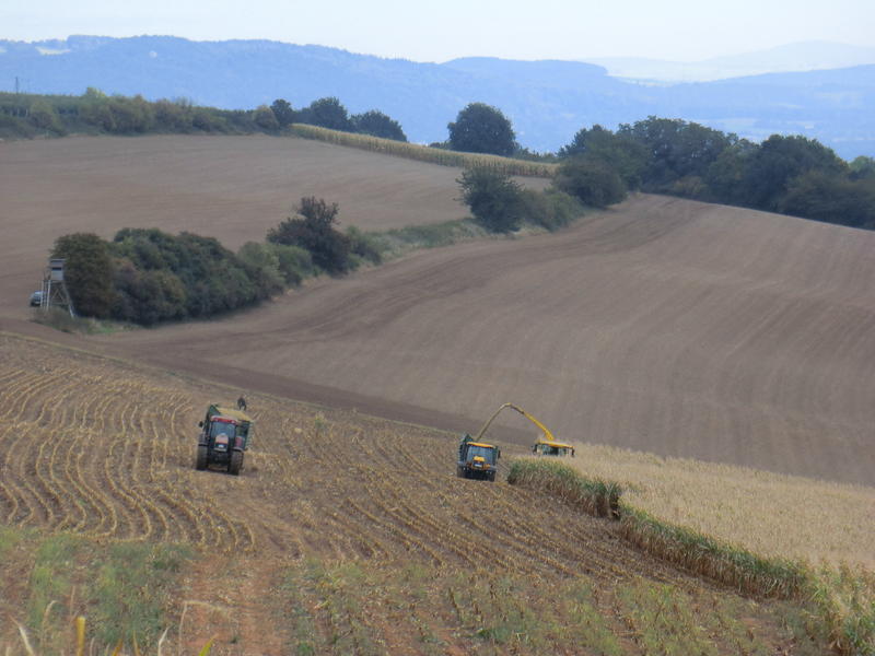 bilder/3_10_2012/CIMG1463.jpg