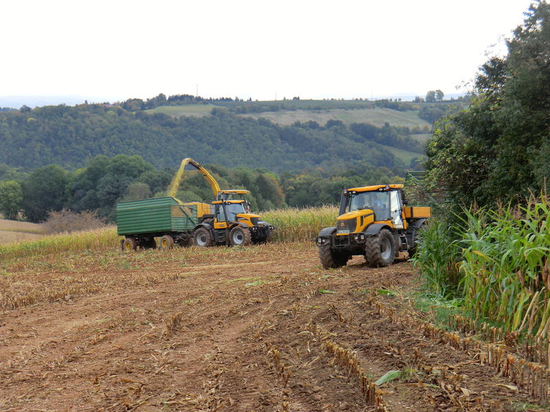 bilder/3_10_2012/CIMG1470.jpg