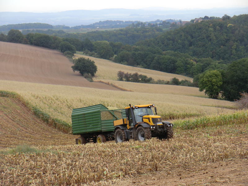 bilder/3_10_2012/CIMG1480.jpg