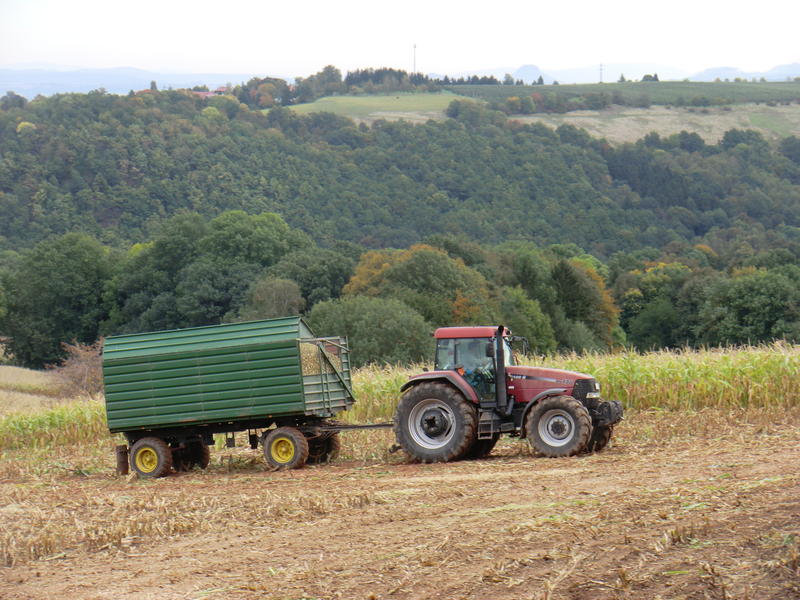 bilder/3_10_2012/CIMG1510.jpg