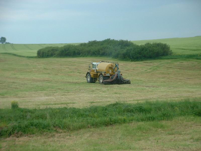 bilder/3_6_2004/terra_gator.jpg