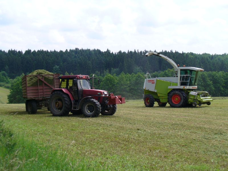 bilder/4_6_2014/CIMG3131.jpg