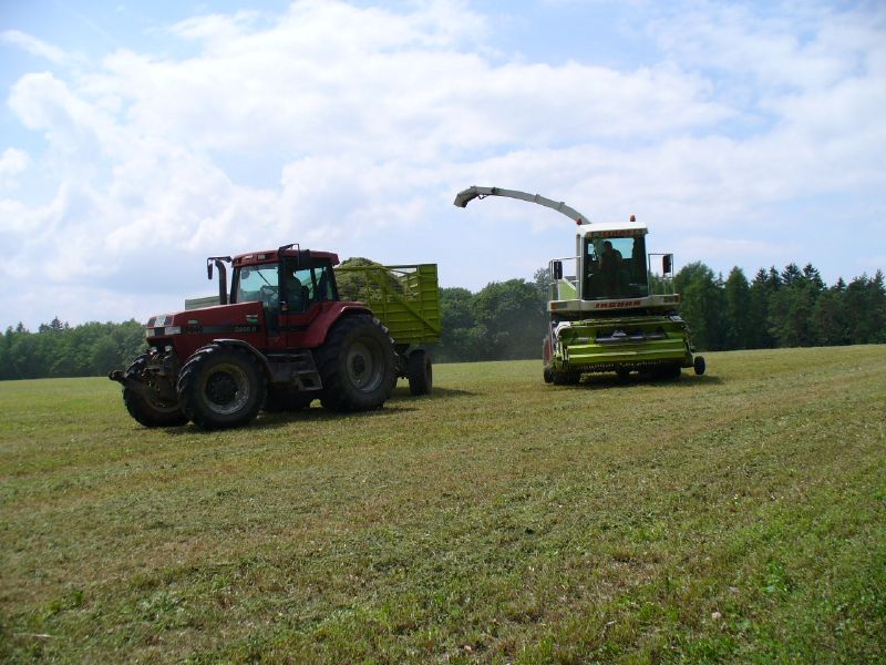 bilder/3_6_2007/P1010685.jpg