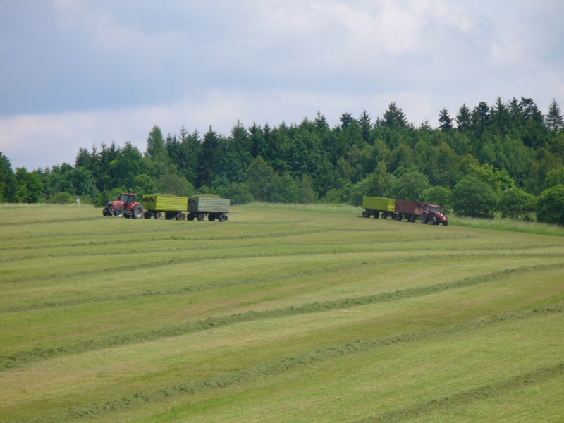 bilder/16_5_2005/fendt_716_10.jpg
