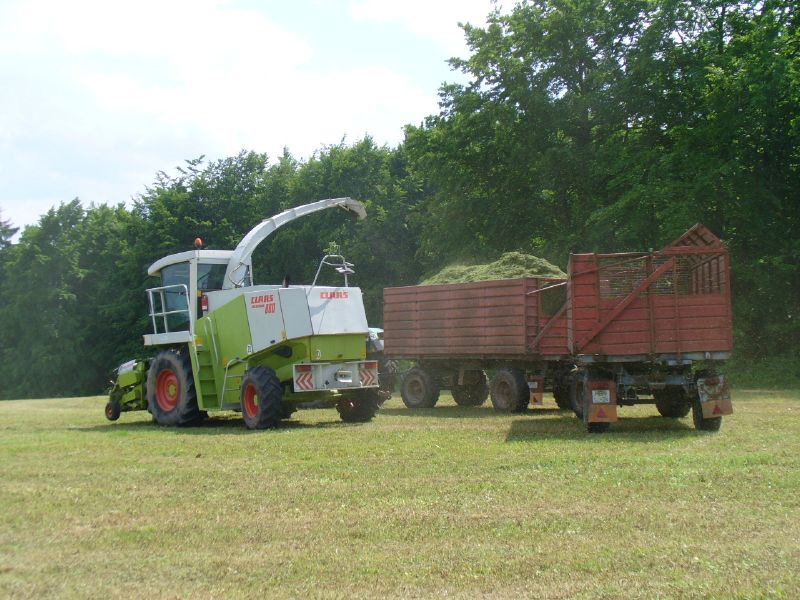 bilder/18_7_2003/xerion.jpg