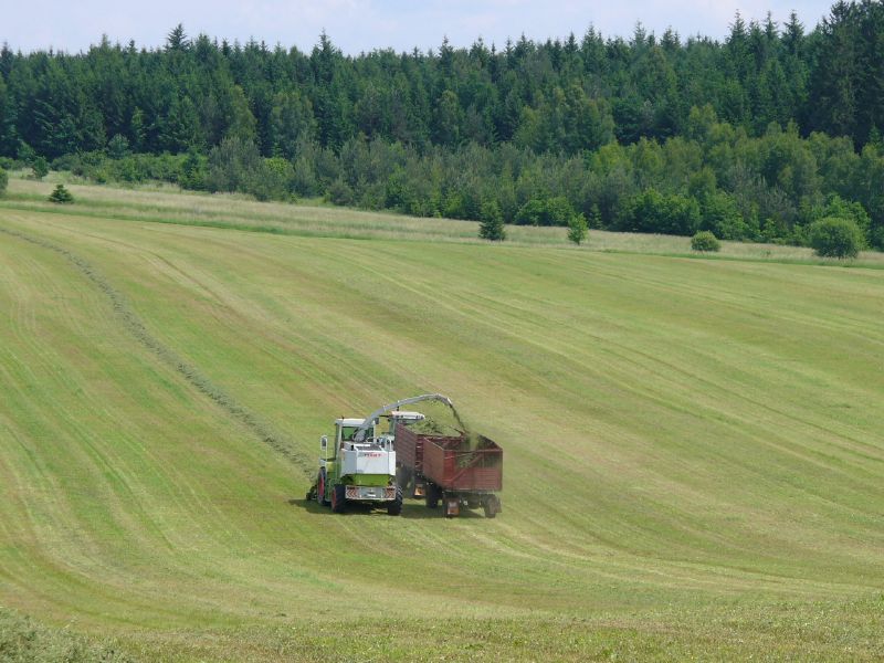 bilder/3_6_2007/P1010737.jpg