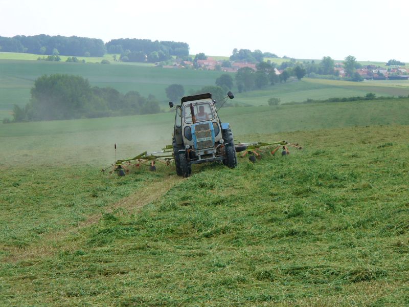 bilder/23_4_2004/zt_303_8.jpg