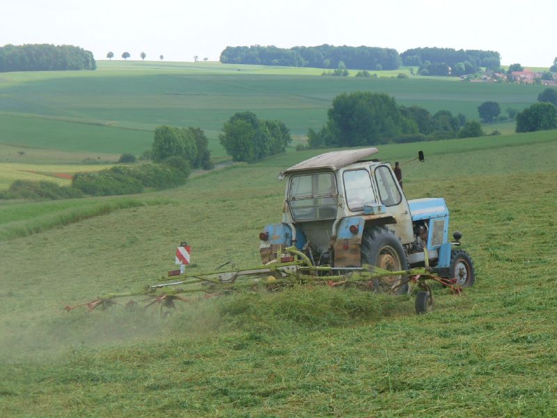 bilder/3_6_2007_2/P1010752.jpg