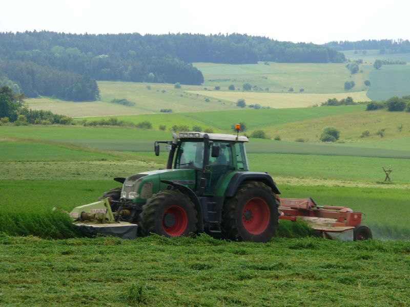 bilder/3_6_2007_2/P1010773.jpg