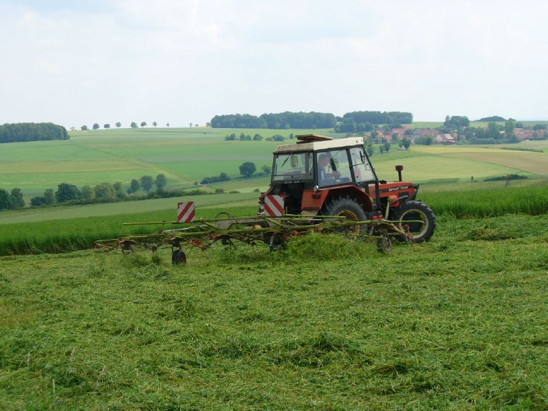 bilder/3_6_2007_2/P1010786.jpg