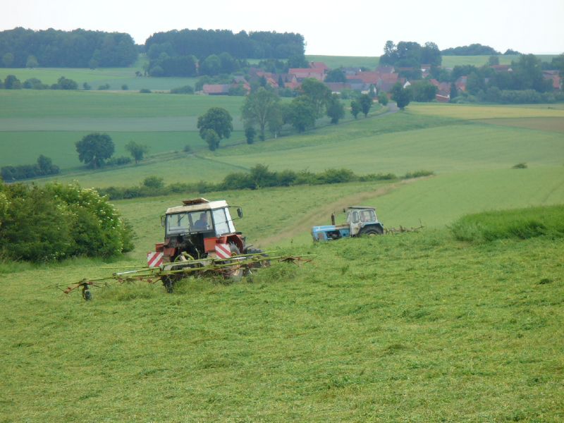 bilder/3_6_2007_2/P1010822.jpg