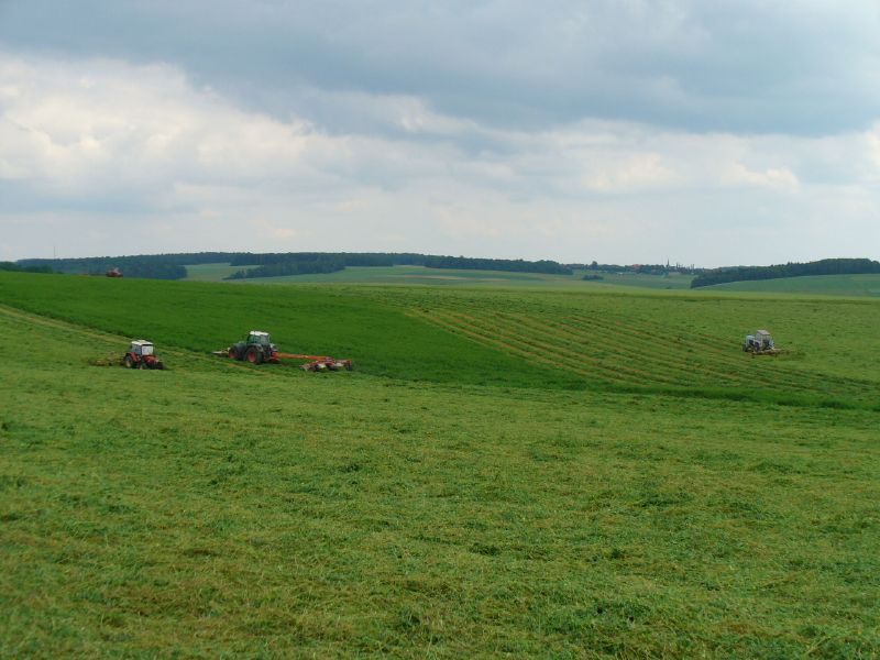 bilder/3_6_2007_2/P1010836.jpg
