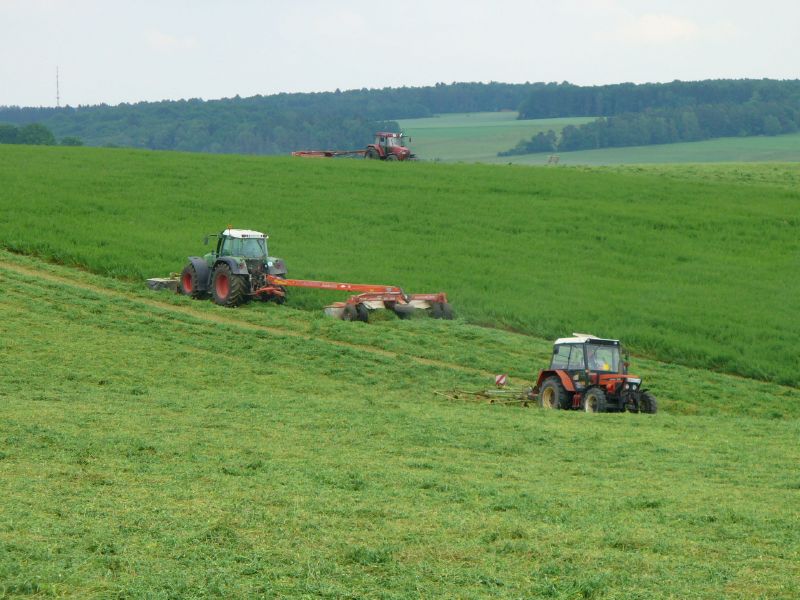 bilder/3_6_2007_2/P1010837.jpg