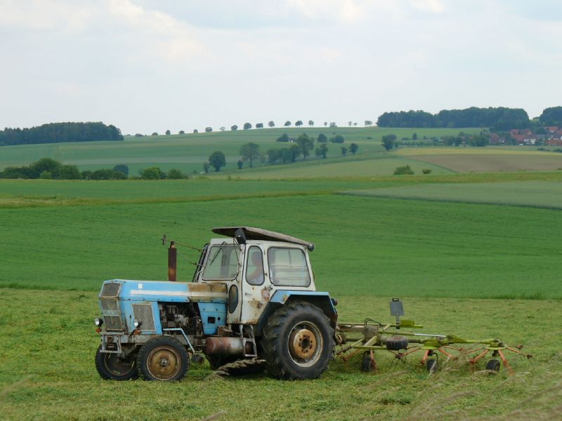 bilder/8_8_2013/CIMG8694.jpg