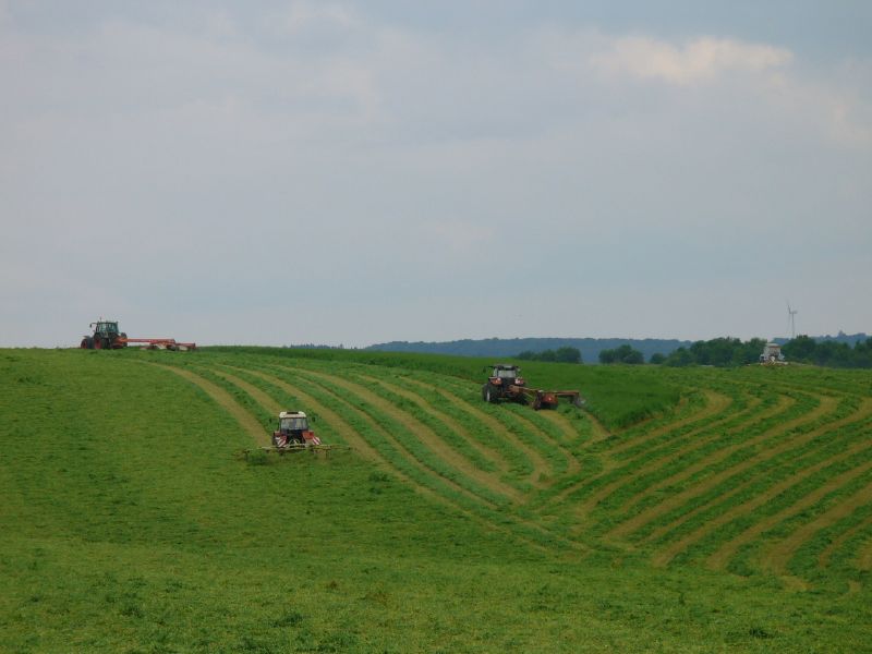 bilder/5_9_2004/targo_zt_323_4.jpg