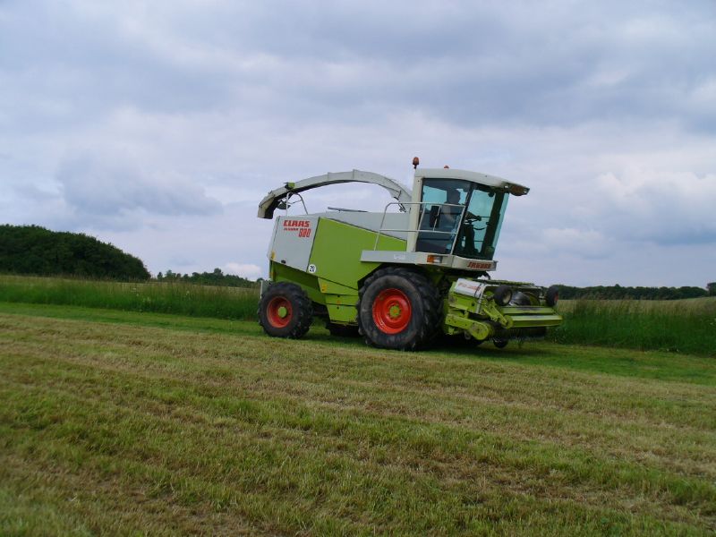 bilder/3_6_2007_2/P1010857.jpg