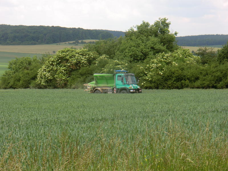 CIMG2930.jpg
