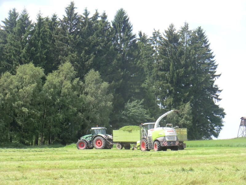 bilder/3_6_2014_2/CIMG2941.jpg