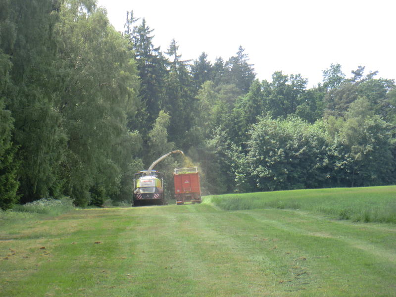 bilder/3_6_2014_2/CIMG2948.jpg
