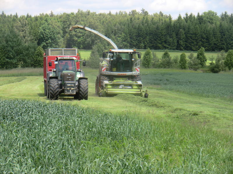 bilder/3_6_2014_2/CIMG2953.jpg