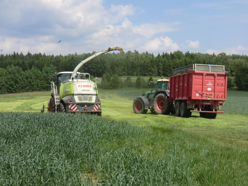 bilder/31_8_2005/lexion_6.jpg