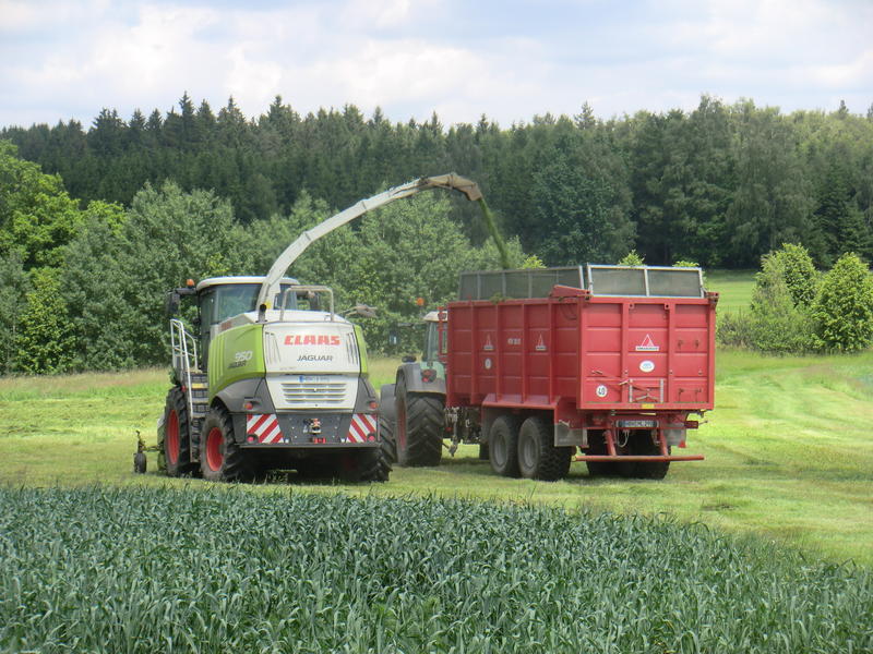 bilder/7_8_2009/IMGP7287.jpg