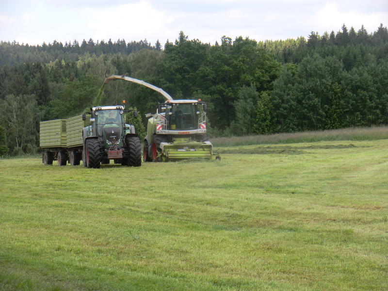bilder/3_6_2014_2/CIMG2968.jpg