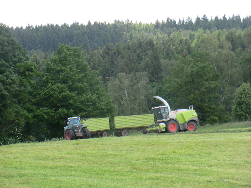 bilder/3_6_2014_2/CIMG2970.jpg
