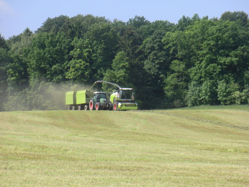 bilder/3_6_2014_3/CIMG2854.jpg