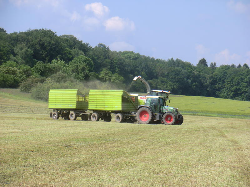 bilder/3_6_2014_3/CIMG2856.jpg