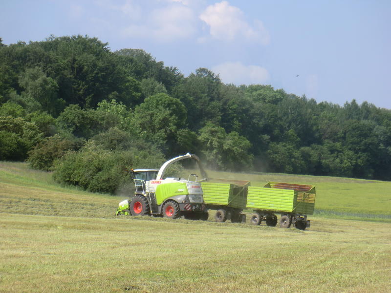 CIMG2858.jpg