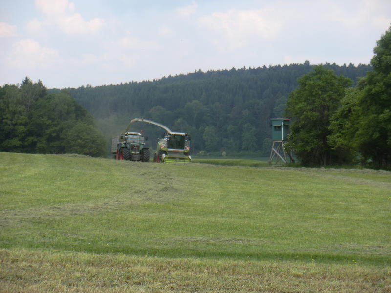 CIMG2876.jpg