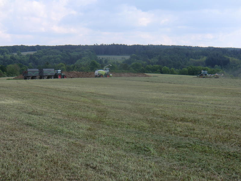 bilder/3_6_2014_3/CIMG2882.jpg