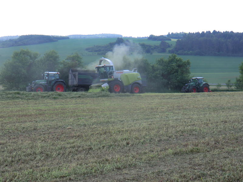 bilder/3_6_2014_3/CIMG2885.jpg