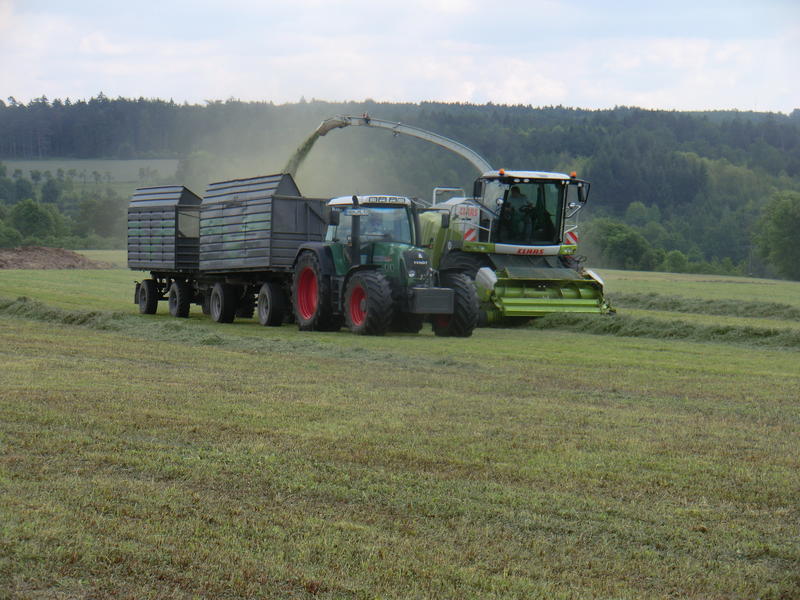 bilder/3_6_2014_3/CIMG2890.jpg