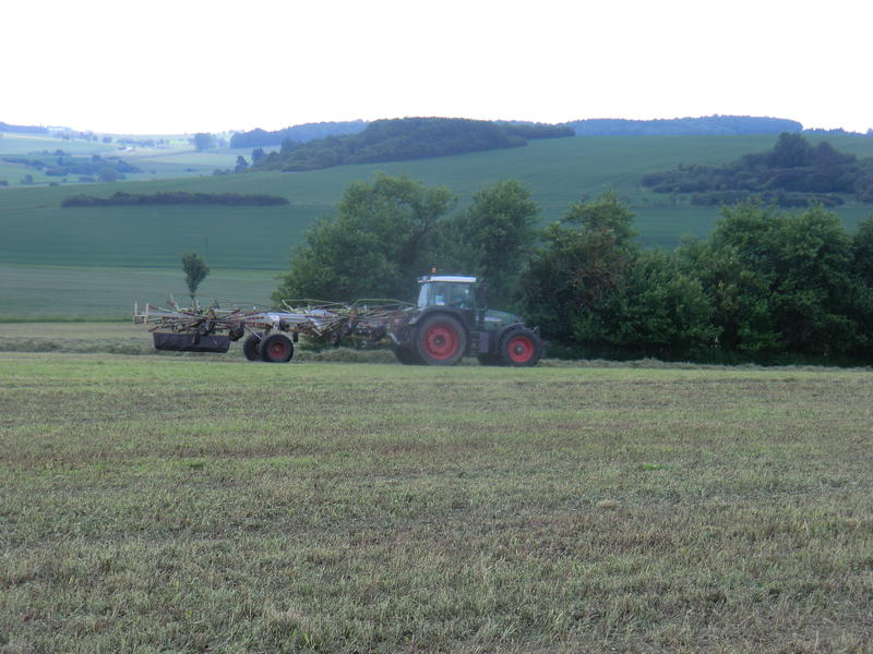 bilder/3_6_2014_3/CIMG2894.jpg